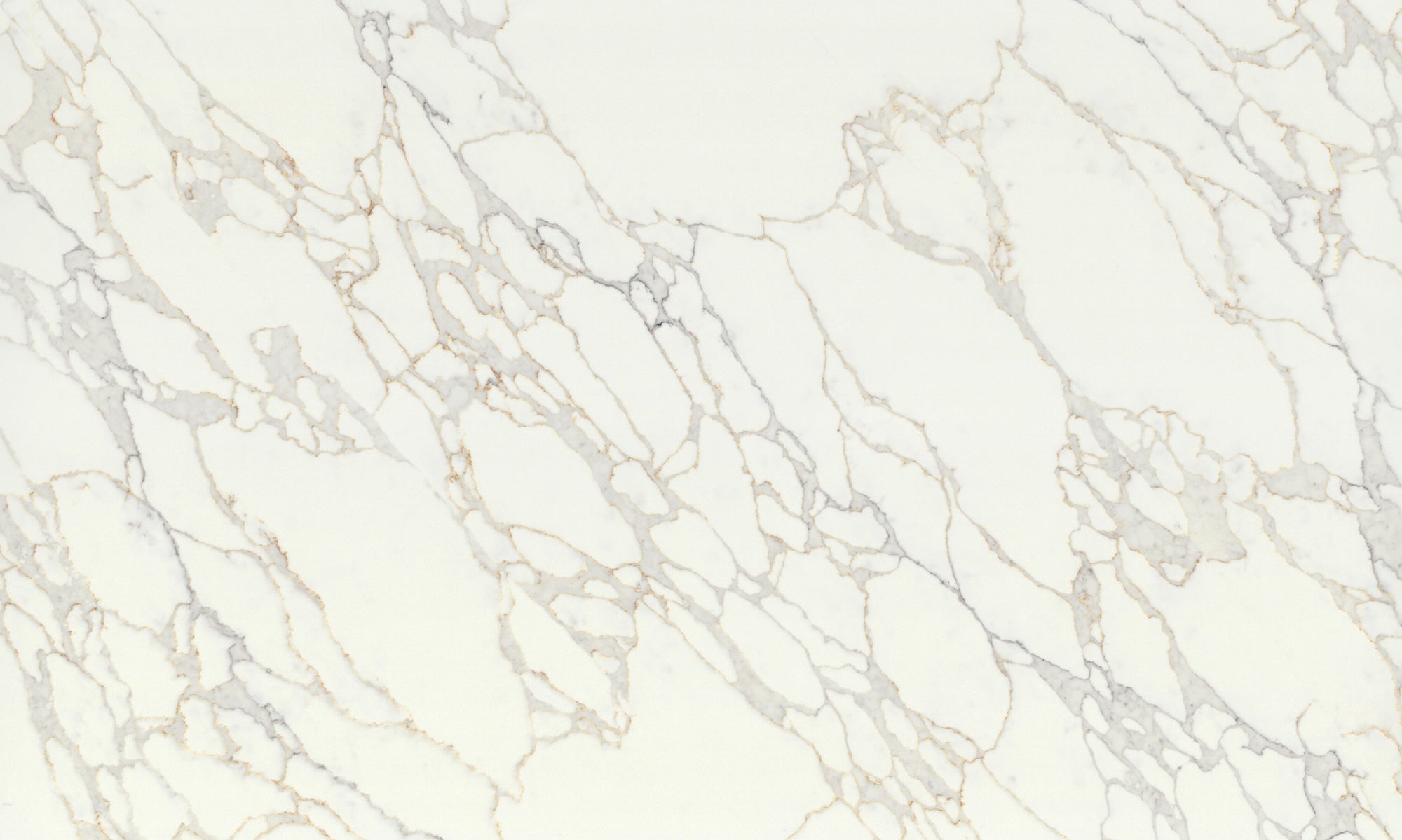 Rembrant – Select Surfaces